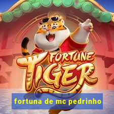 fortuna de mc pedrinho