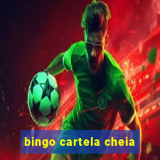 bingo cartela cheia