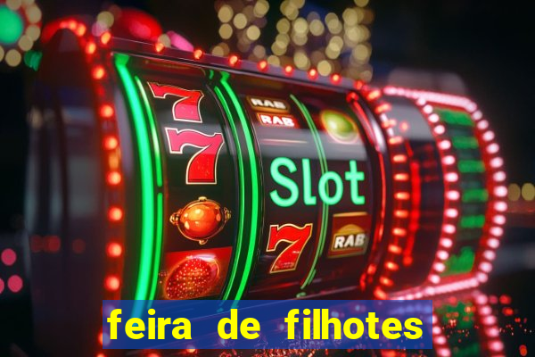 feira de filhotes porto alegre