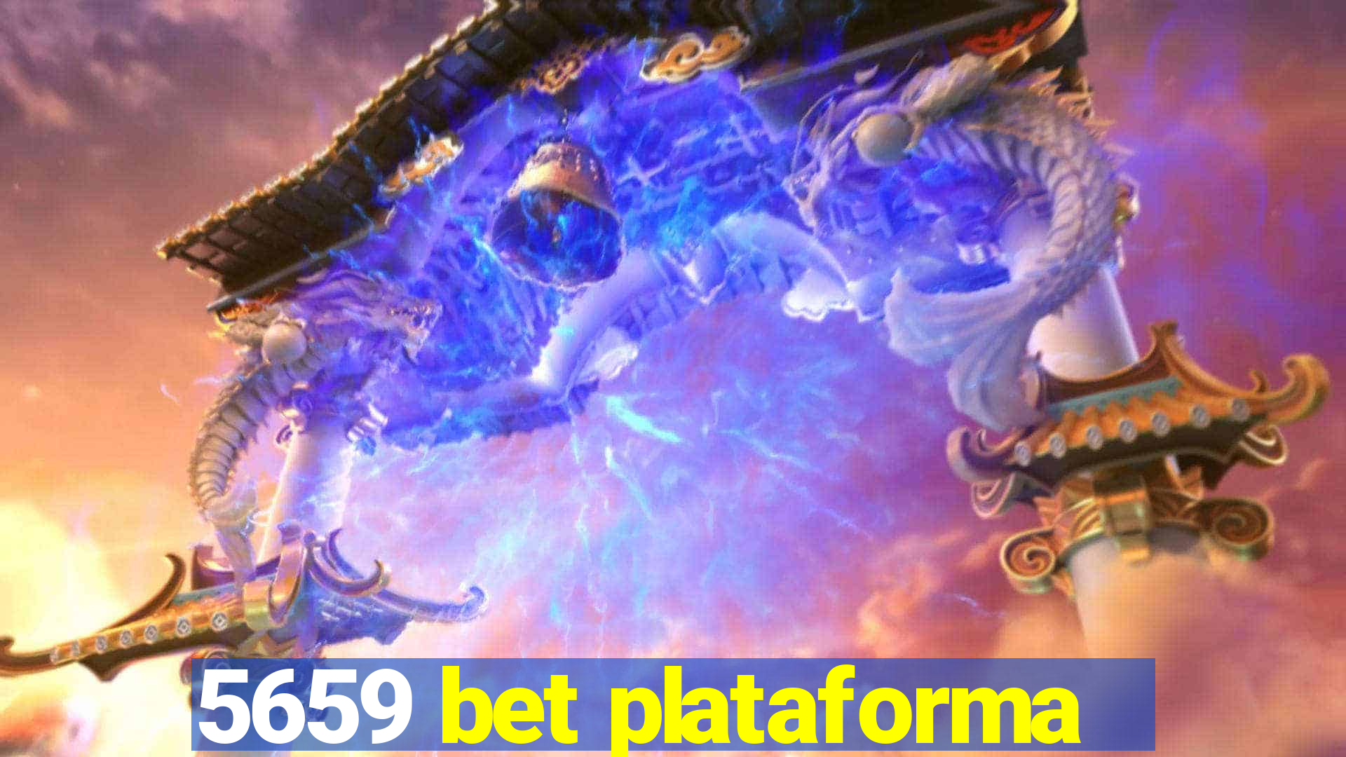 5659 bet plataforma