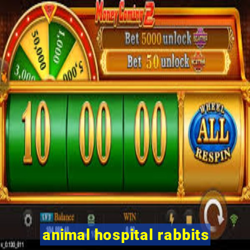 animal hospital rabbits