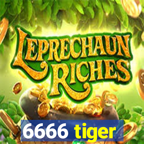 6666 tiger