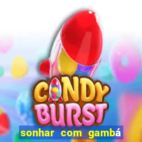 sonhar com gambá jogo do bicho