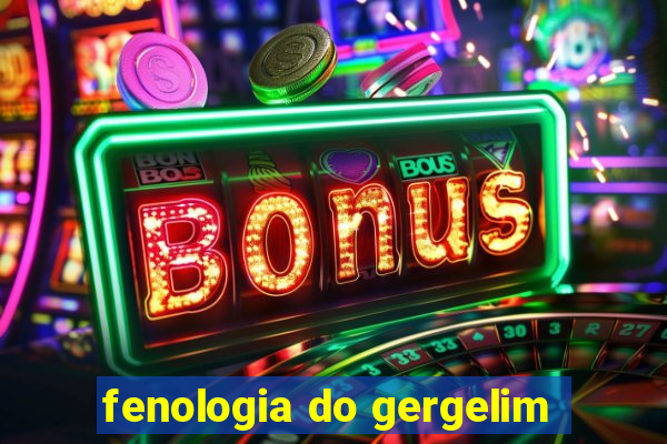 fenologia do gergelim