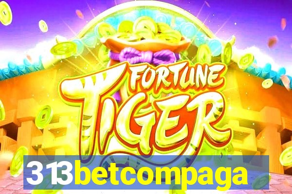 313betcompaga