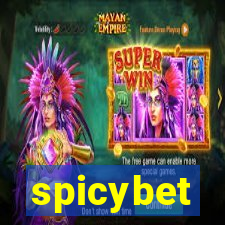 spicybet-1.com