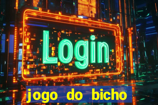 jogo do bicho crash bingo