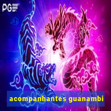 acompanhantes guanambi